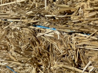 500 x Wheaten Straw 450kg 8x4x3 Bales