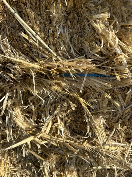 500 x Barley Straw 450kg 8x4x3 Bales