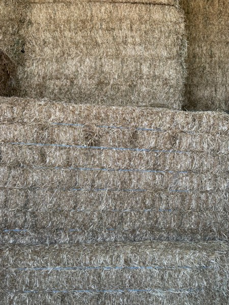 300mt Balansa Clover Hay 550kg 8x4x3 Bales