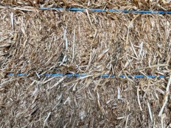 300mt Balansa Clover Hay 550kg 8x4x3 Bales