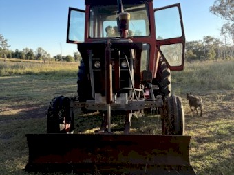 Massey Ferguson 1085 Tractor