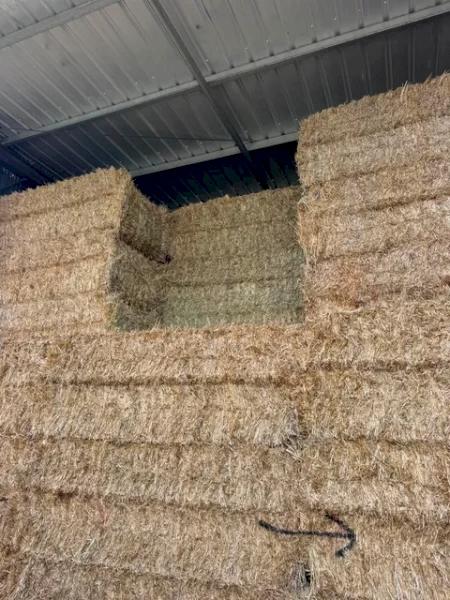 110mt Cereal, Clover, Rye and Lucerne Hay 670kg 8x4x3 Bales
