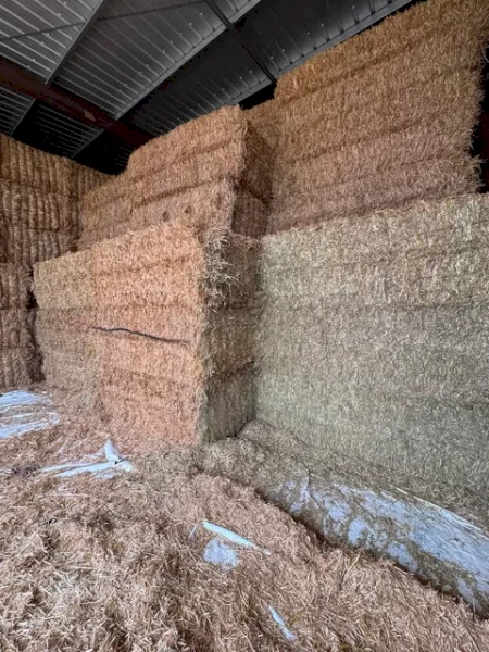 450mt Cereal, Clover, Rye and Lucerne Hay 650-740kg 8x4x3 Bales