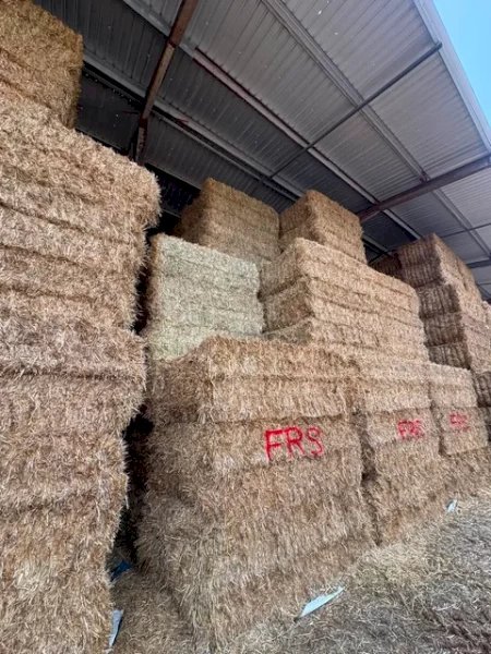 650mt Oaten Hay 635kg 8x4x3 Bales