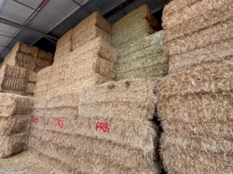 750 mt Oaten Hay 605kg 8x4x3 Bales