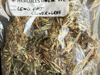 180mt Clover and Rye Hay 8x4x3 Bales