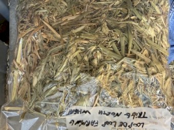 650mt Wheaten Hay 690kg 8x4x3 Bales