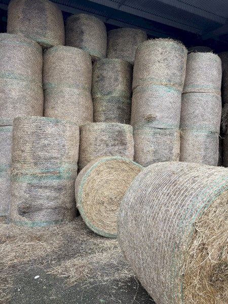 300 x Annual Grass and Clover Hay 5x4 Rolls