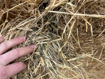 300 x Annual Grass and Clover Hay 5x4 Rolls