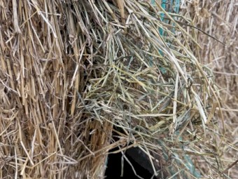 300 x Annual Grass and Clover Hay 5x4 Rolls