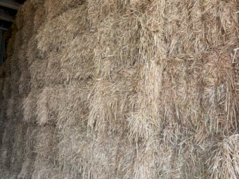 100mt Unawned Wheaten Hay 8x4x3 Bales