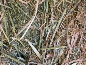 200mt Vetch Hay 690kg 8x4x3 Bales