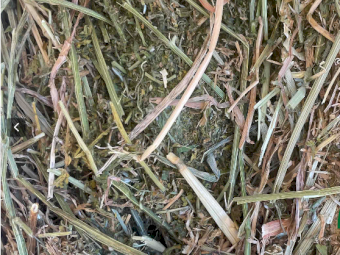200mt Vetch Hay 690kg 8x4x3 Bales