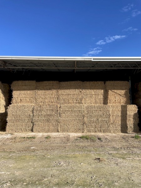200mt Oaten Hay 8x4x3 Bales