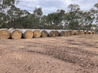 191 x Yarran Oat and Vetch Hay 433kg Round Bales