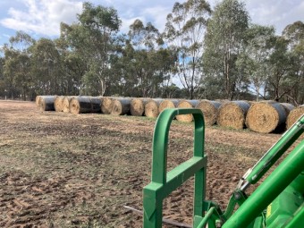 200 x Yarran Oat and Vetch Hay 433kg Round Bales