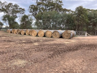 191 x Yarran Oat and Vetch Hay 433kg Round Bales
