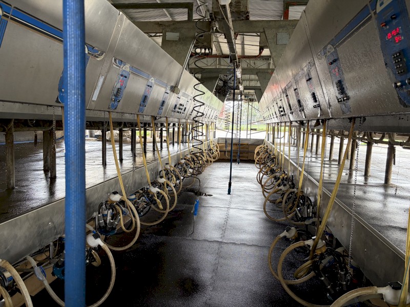 Complete Boumatic Dairy - 16 a side double up
