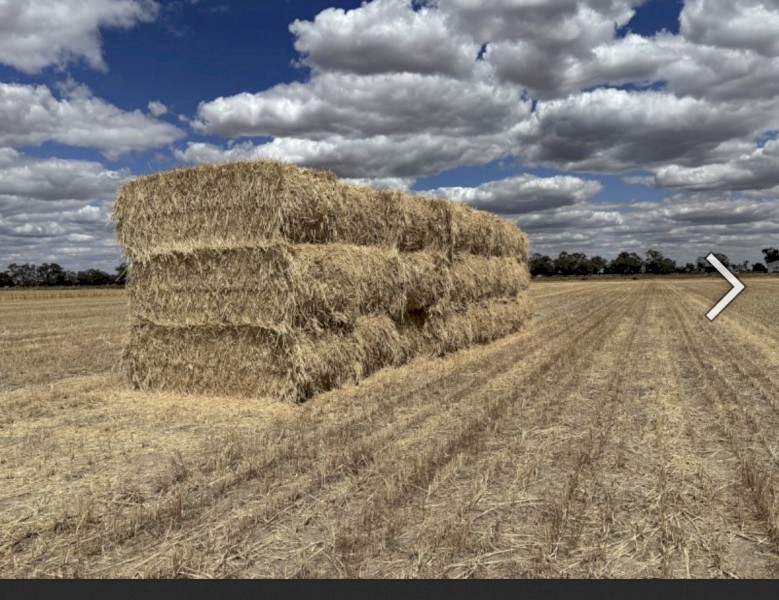 150mt Wheaten Hay 500kg 8x4x3 Bales