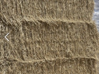 150mt Wheaten Hay 500kg 8x4x3 Bales