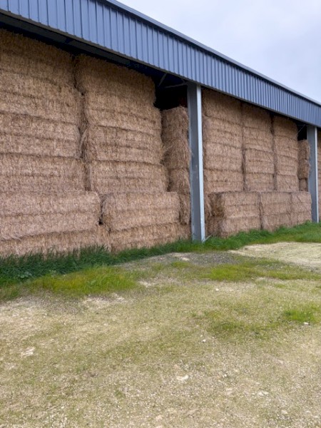 500mt Wheaten Hay 540kg 8x4x3 Bales