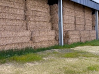 500mt Wheaten Hay 540kg 8x4x3 Bales
