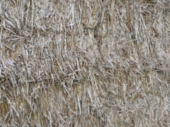 500mt Wheaten Hay 540kg 8x4x3 Bales