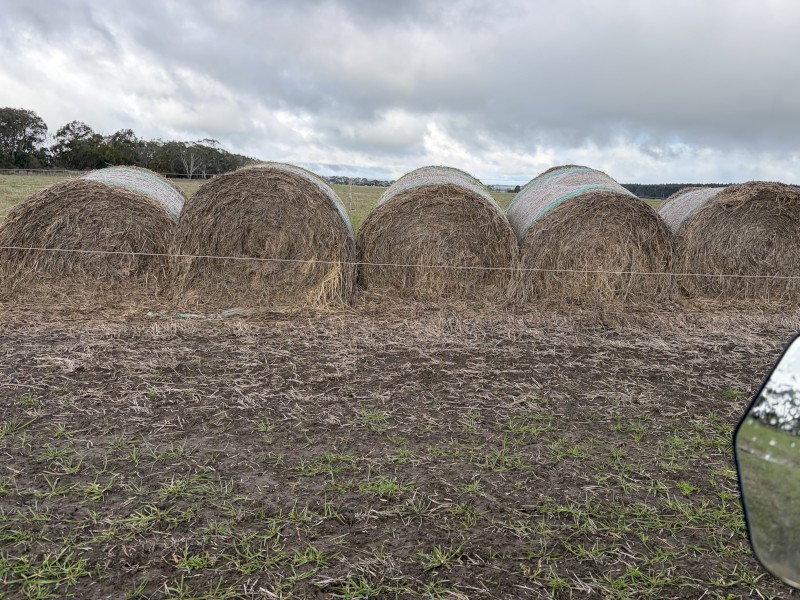 69 x Pasture Hay 5x4 Round Bales