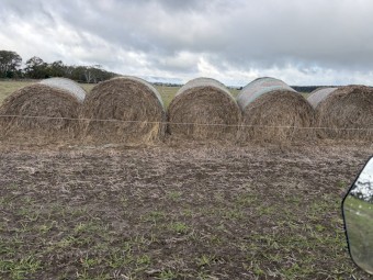 69 x Pasture Hay 5x4 Round Bales