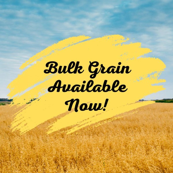Bulk Organic Grains Available