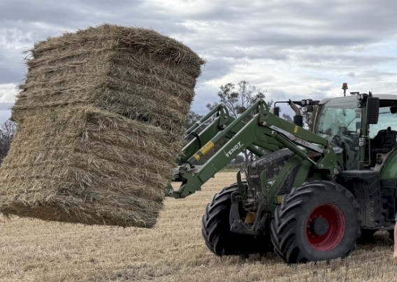 140mt Wheaten Hay 550kg 8x4x4 Bales
