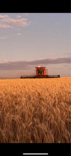 WANTED Contract Harvesting/Cartage Work