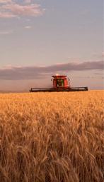 WANTED Contract Harvesting/Cartage Work