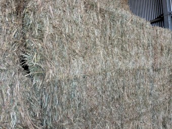 270mt Wheaten Hay 640kg bales average 8x4x3 Bales