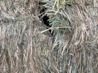 270mt Wheaten Hay 640kg bales average 8x4x3 Bales