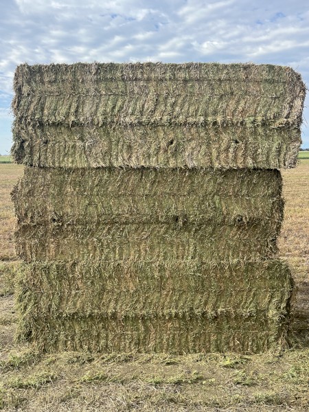 180mt Vetch Hay 8x4x3 Bales