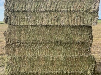 180mt Vetch Hay 8x4x3 Bales