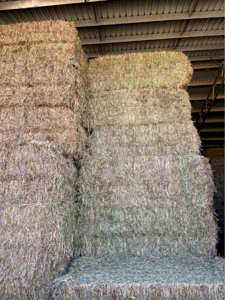 325mt Vetch & Oat Hay 8x4x3 Bales