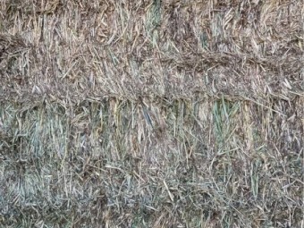 325mt Vetch & Oat Hay 8x4x3 Bales