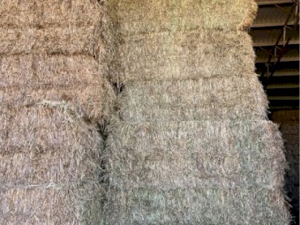 325mt Vetch & Oat Hay 8x4x3 Bales