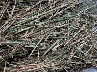 325mt Vetch & Oat Hay 8x4x3 Bales