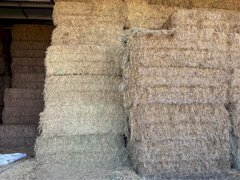 325mt Wheaten Hay 8x4x3 Bales