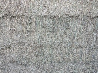 325mt Wheaten Hay 8x4x3 Bales