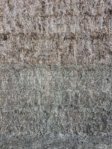 Vetch Hay 8x4x3 Bales