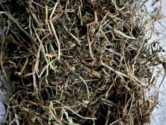 Vetch Hay 8x4x3 Bales