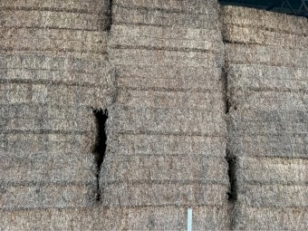 Vetch Hay 8x4x3 Bales