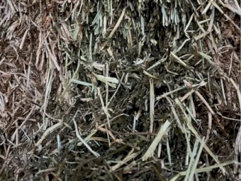 Vetch Hay 8x4x3 Bales