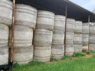 120 x Oaten Hay Round Bales