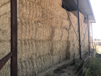 Barley Straw 8x4x3 Bales