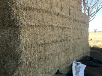 Barley Straw 8x4x3 Bales